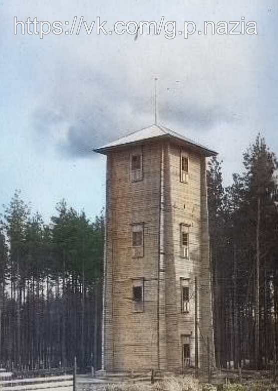 Довоенные фотографии «Рабочего посёлка № 8». История Назиевского городского поселения