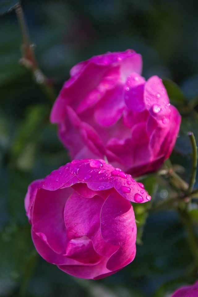 HQ скачать на https://unsplash.com/@elegeo/