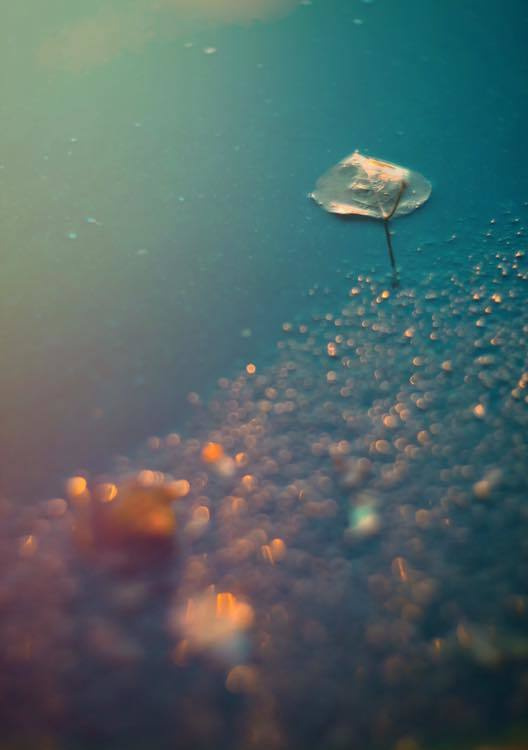 Разное. Главная