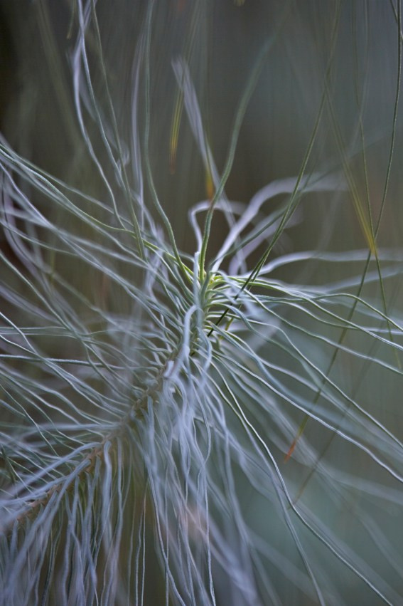Коллекция «ПРИКОСНОВЕНИЕ». Лена Сми интерьерный и портретный фотограф. Москва и Санкт-Петербург