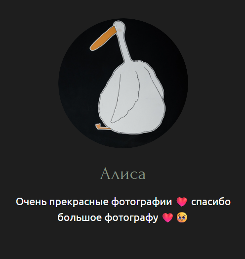 Стильные свадебные фотосессии от фотографа из Новочеркасска Наталии Полянко