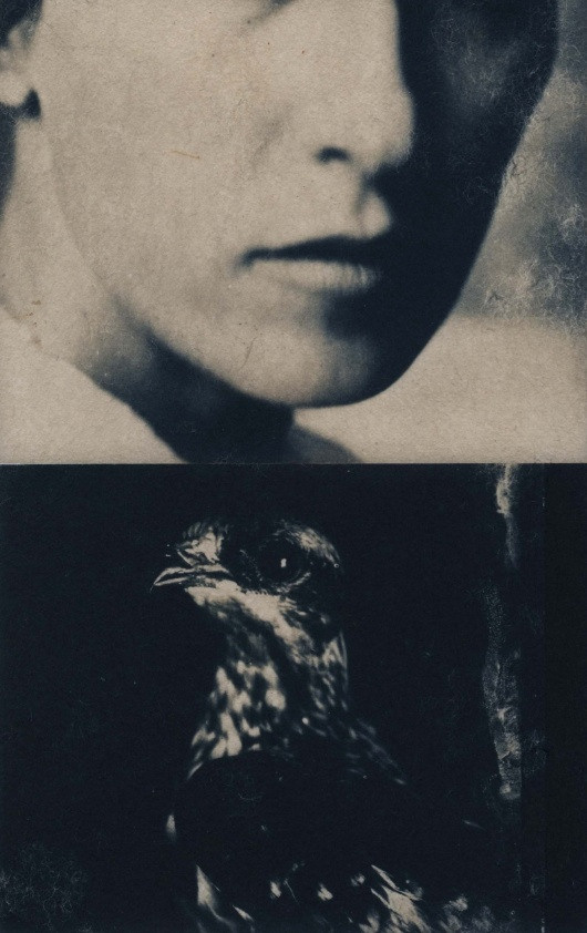 ИСА МАРЧЕЛЛИ