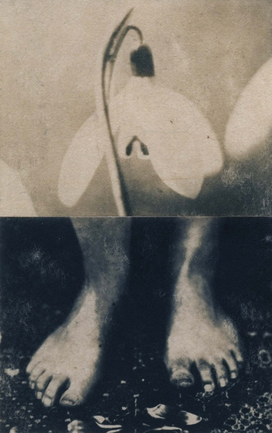 ИСА МАРЧЕЛЛИ