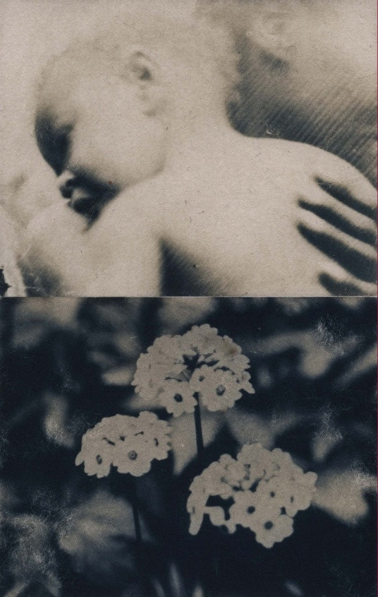 ИСА МАРЧЕЛЛИ