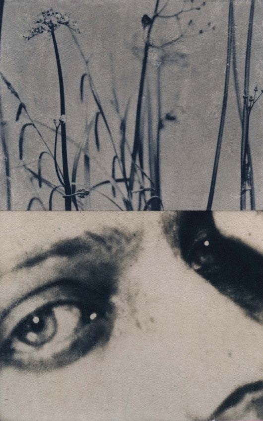 ИСА МАРЧЕЛЛИ