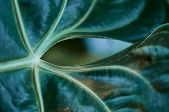 Коллекция «ПРИКОСНОВЕНИЕ». Лена Сми интерьерный и портретный фотограф. Москва и Санкт-Петербург