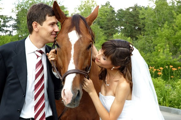 Свадьба. Выпускные фотокниги, фотосъемка, видеосъемка в Челябинске и области