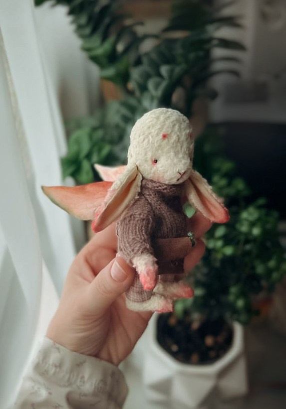 Тедди. Фотограф Ольга Сальманович