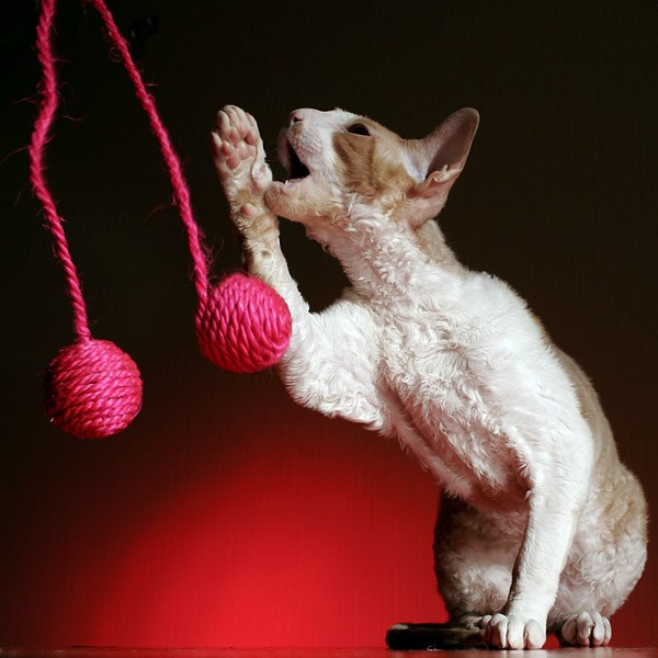 Видео и фотосъемка в Москве и МО| Станислав Семенов