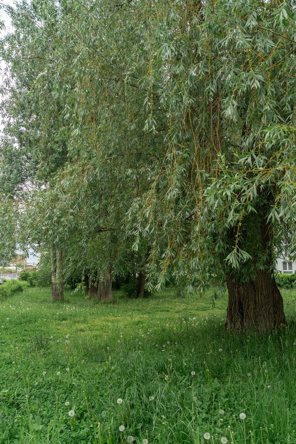 Красивая Пермь