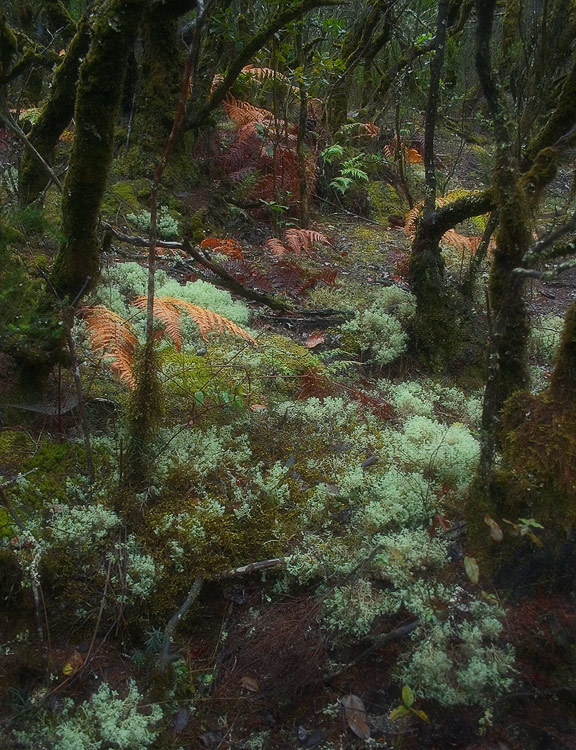 landscape, Landschaft, пейзаж, Испания, Канарские острова, Spain, Kanarien, photo, фото