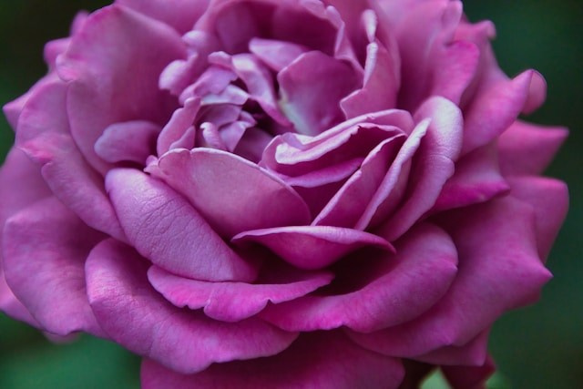 HQ скачать на https://unsplash.com/@elegeo/