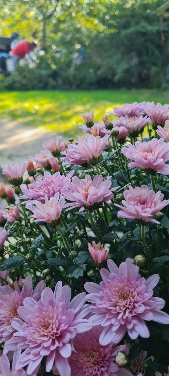 Литургия в Горячем Ключе (2024-09-21). Собор Отрасли