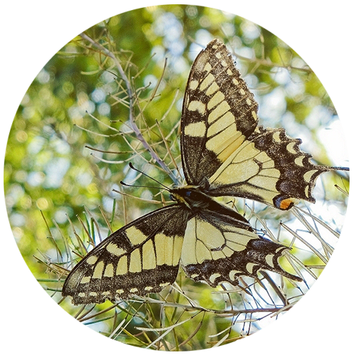 Начало пути