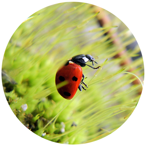 Начало пути