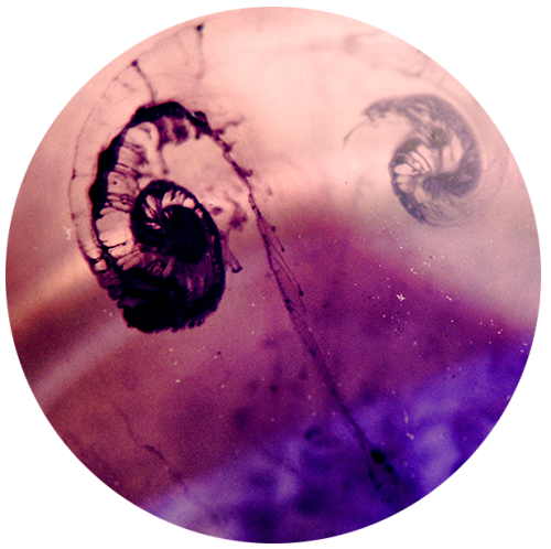 Начало пути