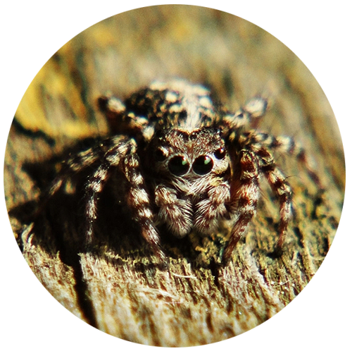 Начало пути