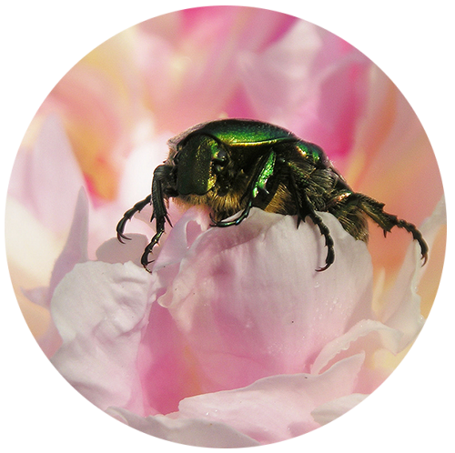 Начало пути