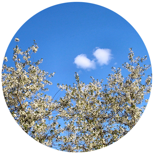 Начало пути