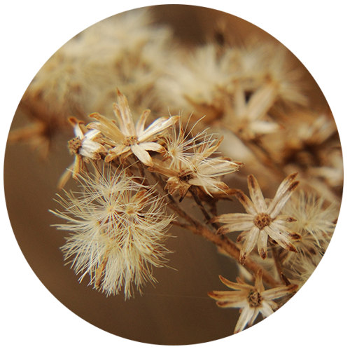 Начало пути