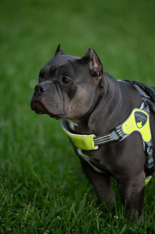 Яхтинг. Мир живой фотографии о Вас и для Вас