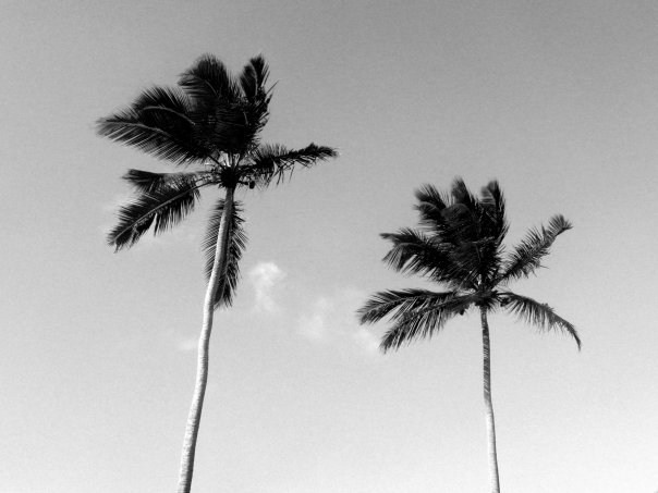 Творчество. Фотограф в Москве Черниговцева Анастасия