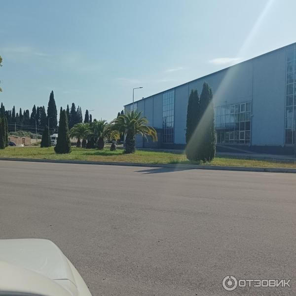 Винодельня «Шато-Абхаз» (село Алахадзыхь, близ Пицунды). Фотограф для маркетплейсов Михаил Бове