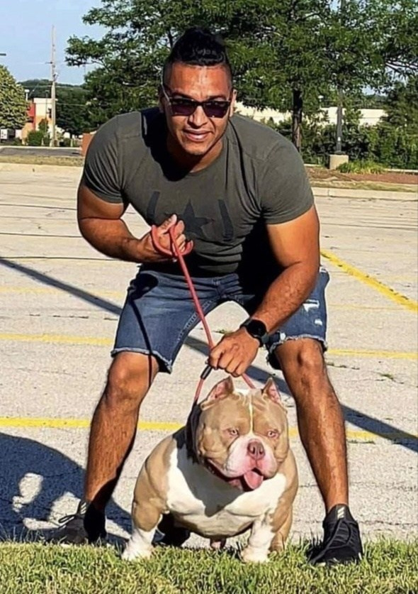 очень мощный булли экстрим на фото с хозяином 