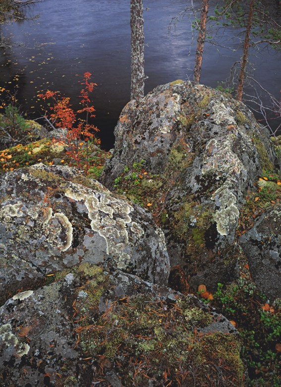 Русский север. ВАДИМ ГИППЕНРЕЙТЕР — ВЕЛИКИЙ ФОТОГРАФ ЗЕМЛИ РУССКОЙ
