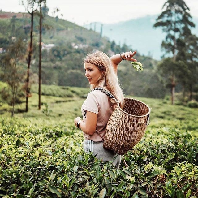 Серф-кэмп шри-ланка 2024. Серф-кэмп на Шри-Ланке