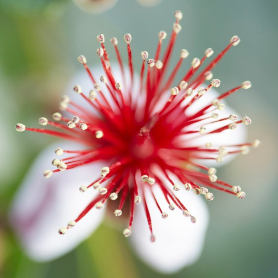 Коллекция «ПРИКОСНОВЕНИЕ». Лена Сми интерьерный и портретный фотограф. Москва и Санкт-Петербург