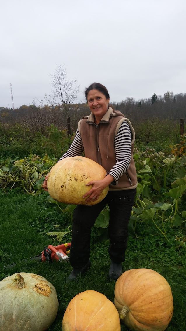 Территория экофермы Марии Гиппенрейтер. Эко отель Подмосковье. Эко отдых в Подмосковье в эко-отеле Марии Гиппенрейтер