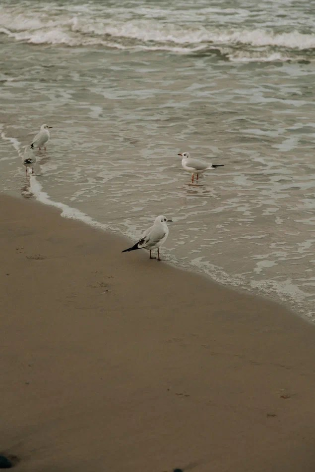 Влад и Карина / Зеленоградск. Фотограф Калининград Илья Миллер