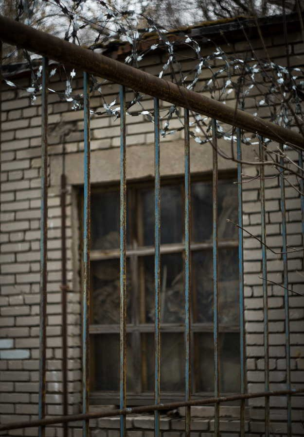 Локация для фотосъёмки на заброшке — граффити, ржавчина и постапокалиптическая атмосфера