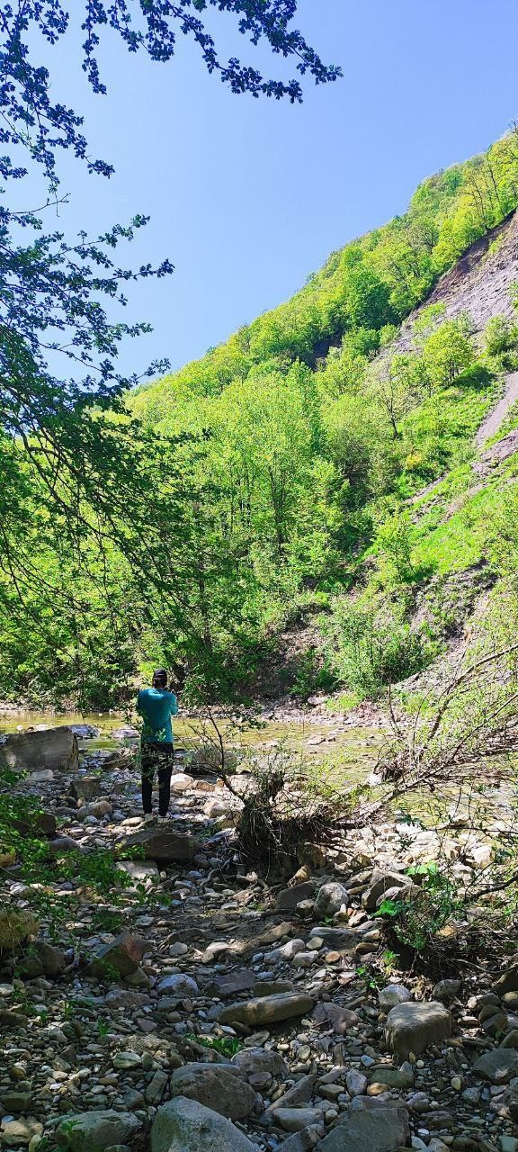 Горы 2025. Собор Отрасли