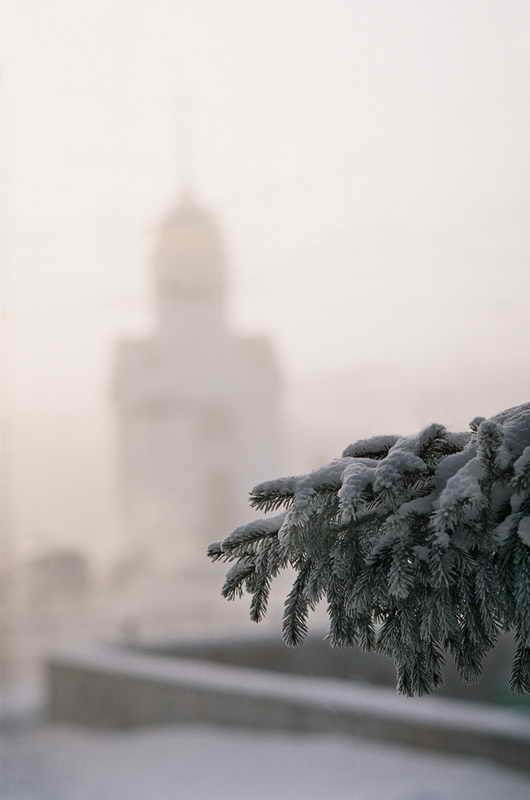Город. Пейзаж. Природа. Салют. Репортажный и детский фотограф в Новосибирске