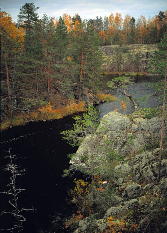 Русский север. ВАДИМ ГИППЕНРЕЙТЕР — ВЕЛИКИЙ ФОТОГРАФ ЗЕМЛИ РУССКОЙ