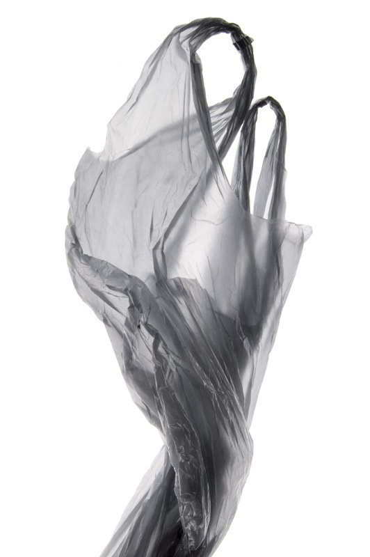 Урок «Гербарий» Пакет