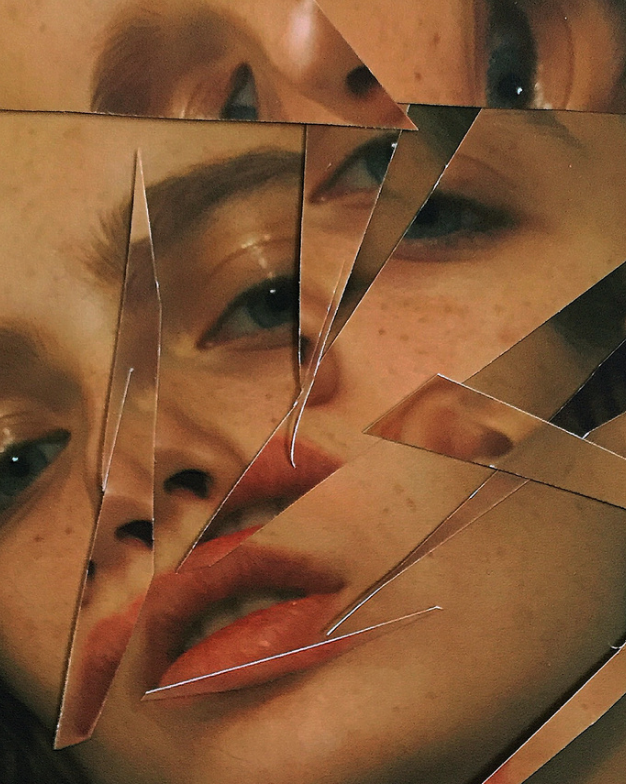 Урок «Гербарий» Пакет