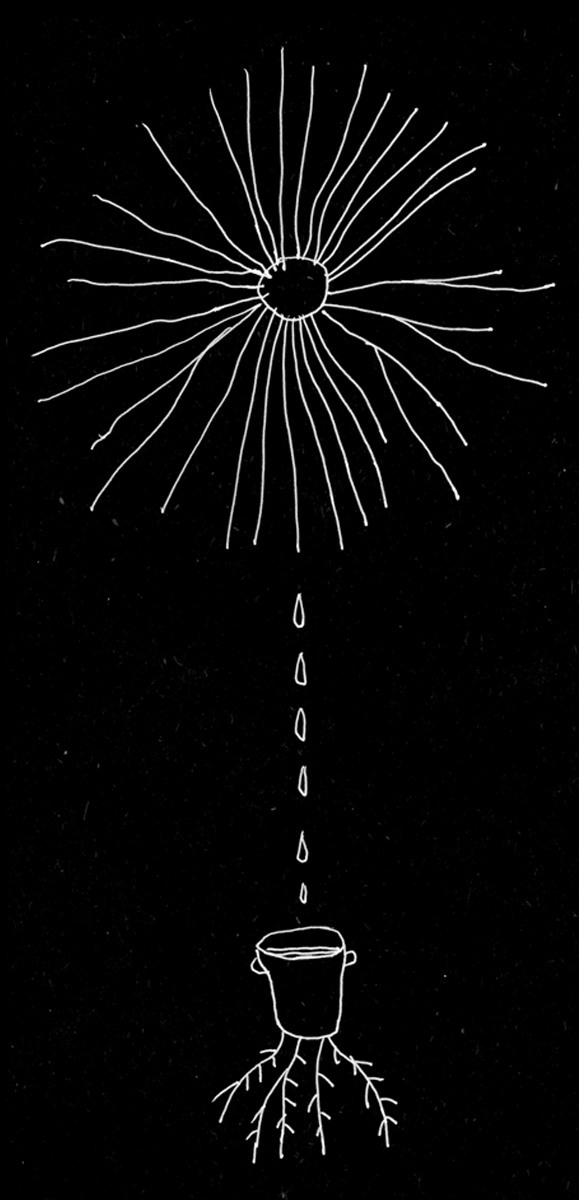 Урок «Гербарий» Пакет