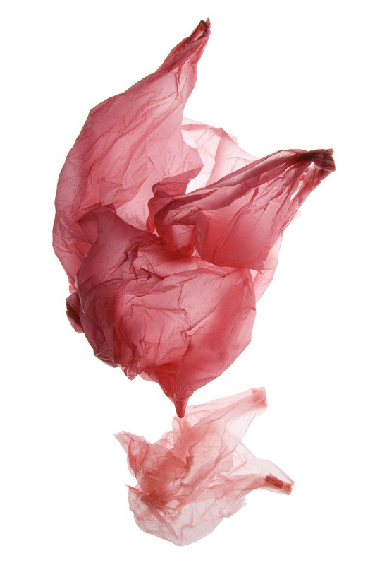 Урок «Гербарий» Пакет