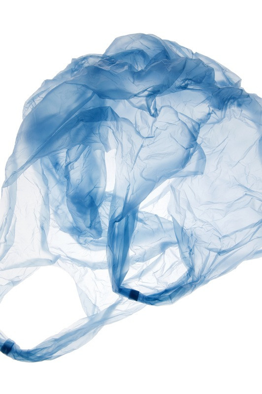 Урок «Гербарий» Пакет