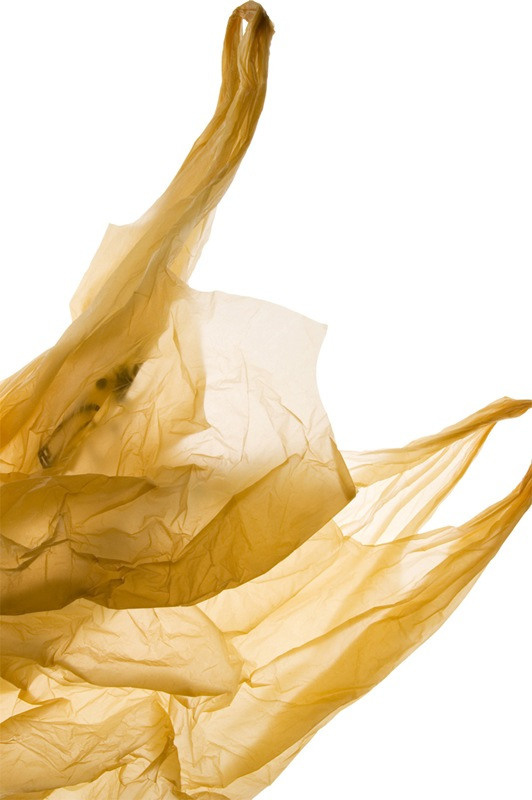 Урок «Гербарий» Пакет