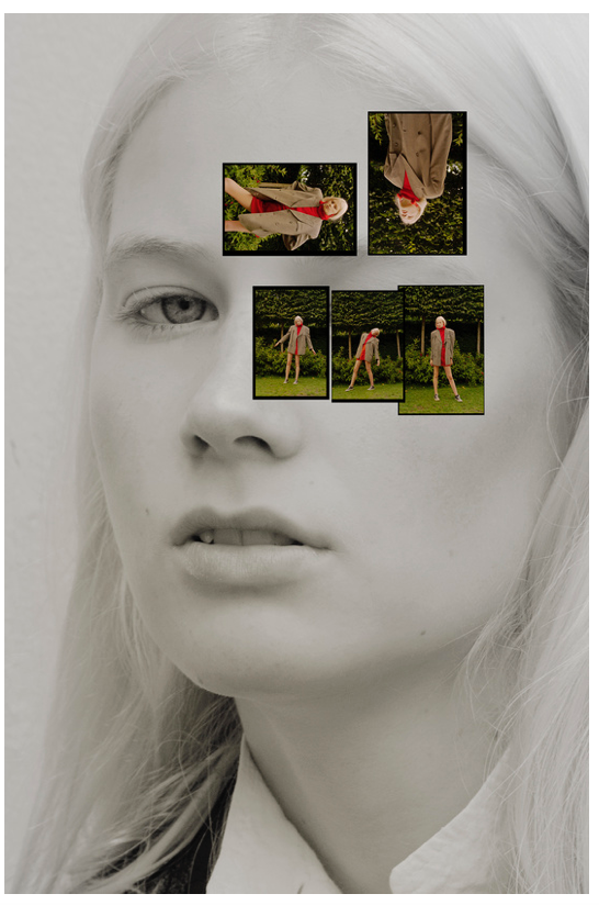 Урок «Гербарий» Пакет