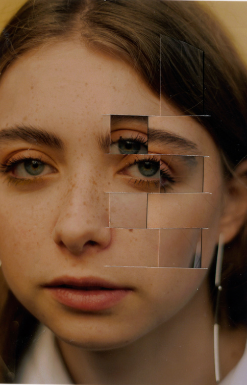 Урок «Гербарий» Пакет