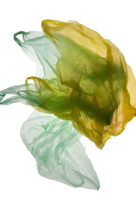 Урок «Гербарий» Пакет