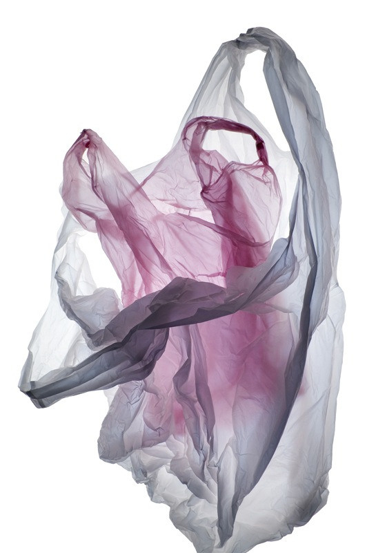 Урок «Гербарий» Пакет