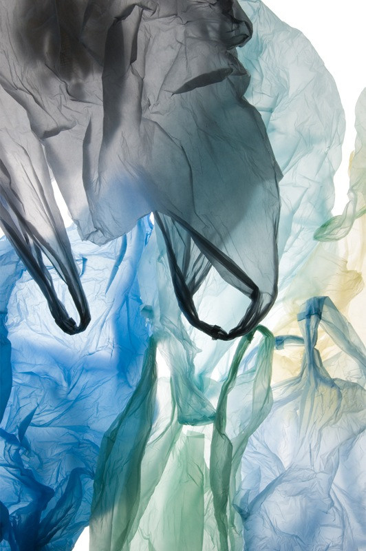 Урок «Гербарий» Пакет