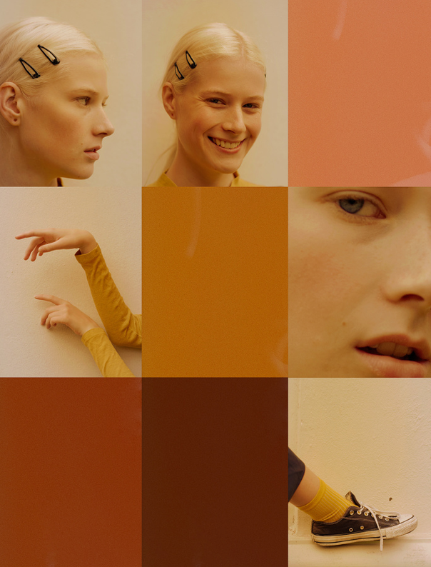 Урок «Гербарий» Пакет