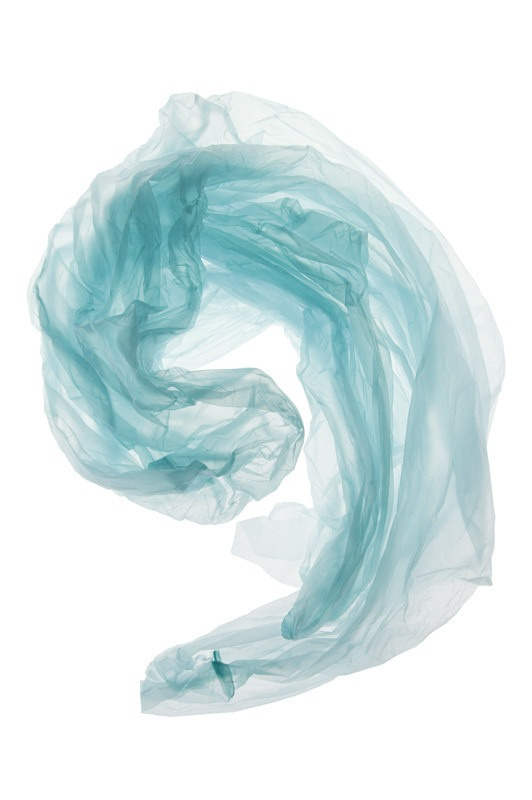 Урок «Гербарий» Пакет